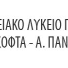 ΛΥΚΕΙΟ ΠΑΛΑΙΟΜΕΤΟΧΟΥ